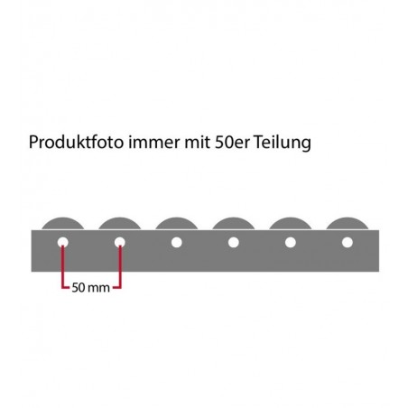 Universal-Rollschiene mit Kunststoffrolle mit Polyurethanbeschichtung GleitlagerTeilung 100 mm Länge 1.000 mm